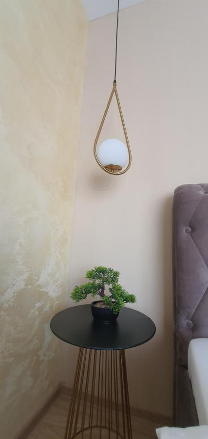 בראשוב Apartment Alios Lux מראה חיצוני תמונה