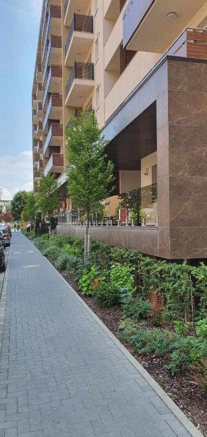 בראשוב Apartment Alios Lux מראה חיצוני תמונה